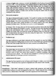 1994 Page 101
